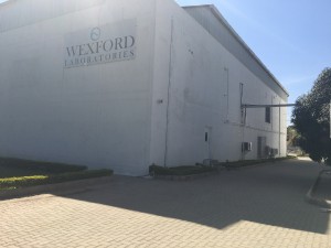 20160111 052657776 iOS