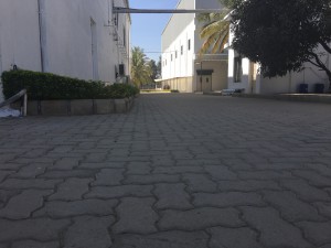 20160111 053130574 iOS