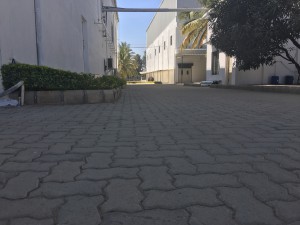 20160111 053130674 iOS