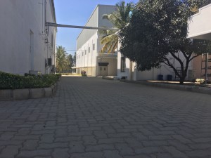 20160111 053139281 iOS